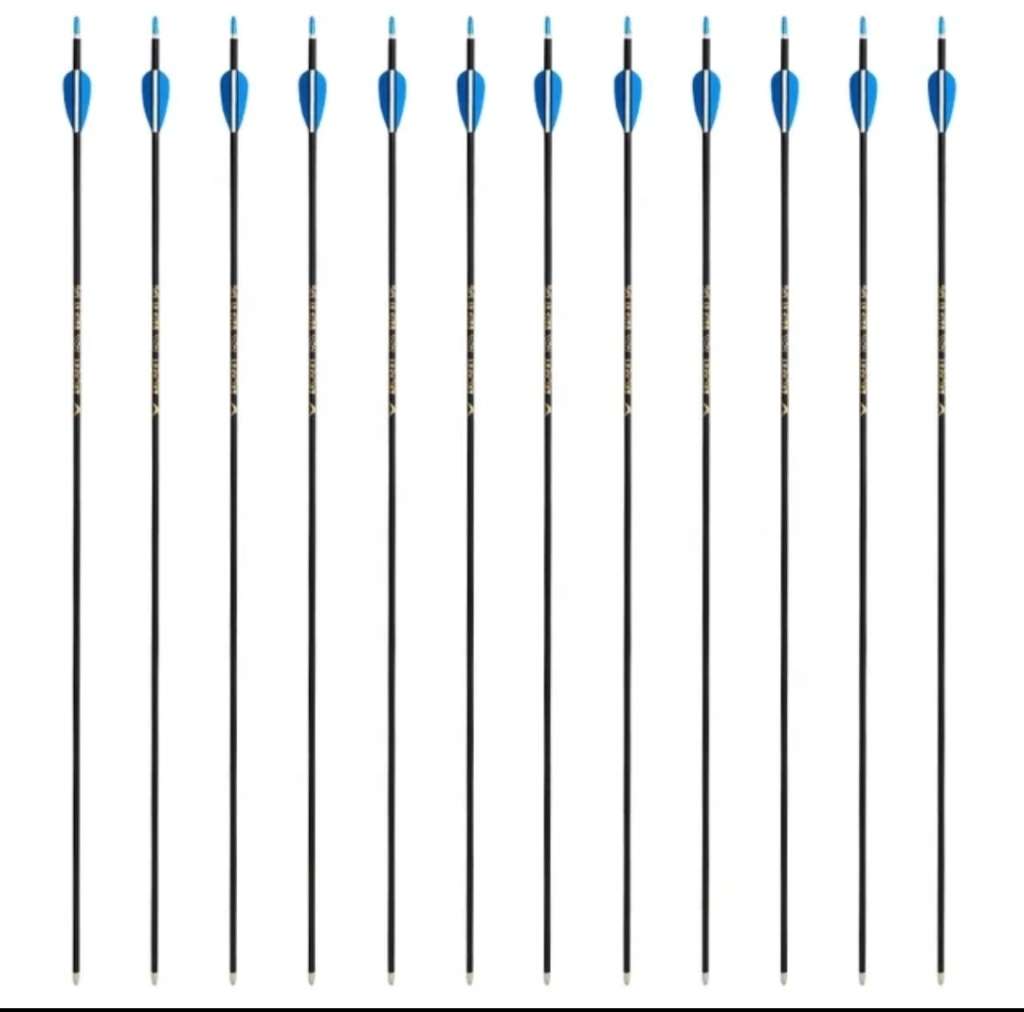 20 PACK CARBON COMPETITON ARROWS