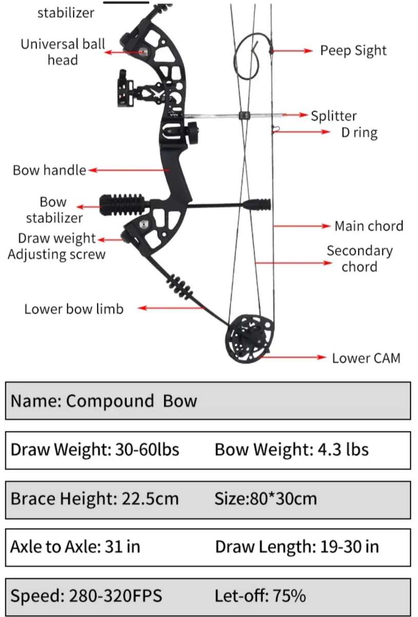 HUNTING COMPOUND BOW WITH FREE ACCESSORIES