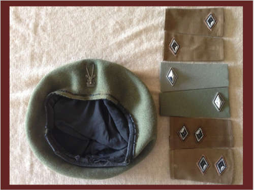 SWATF Insignia Collection