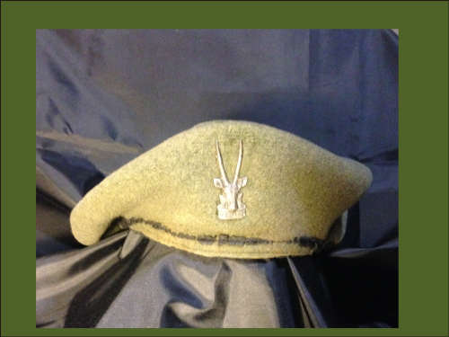 SWATF Insignia Collection