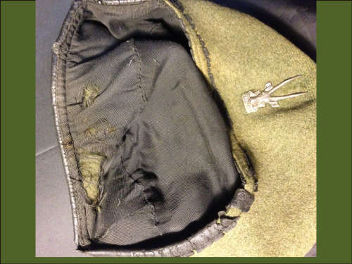 SWATF Insignia Collection