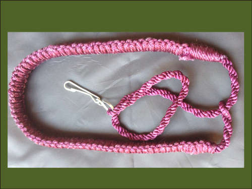 UNTAG - Indian Para Collection