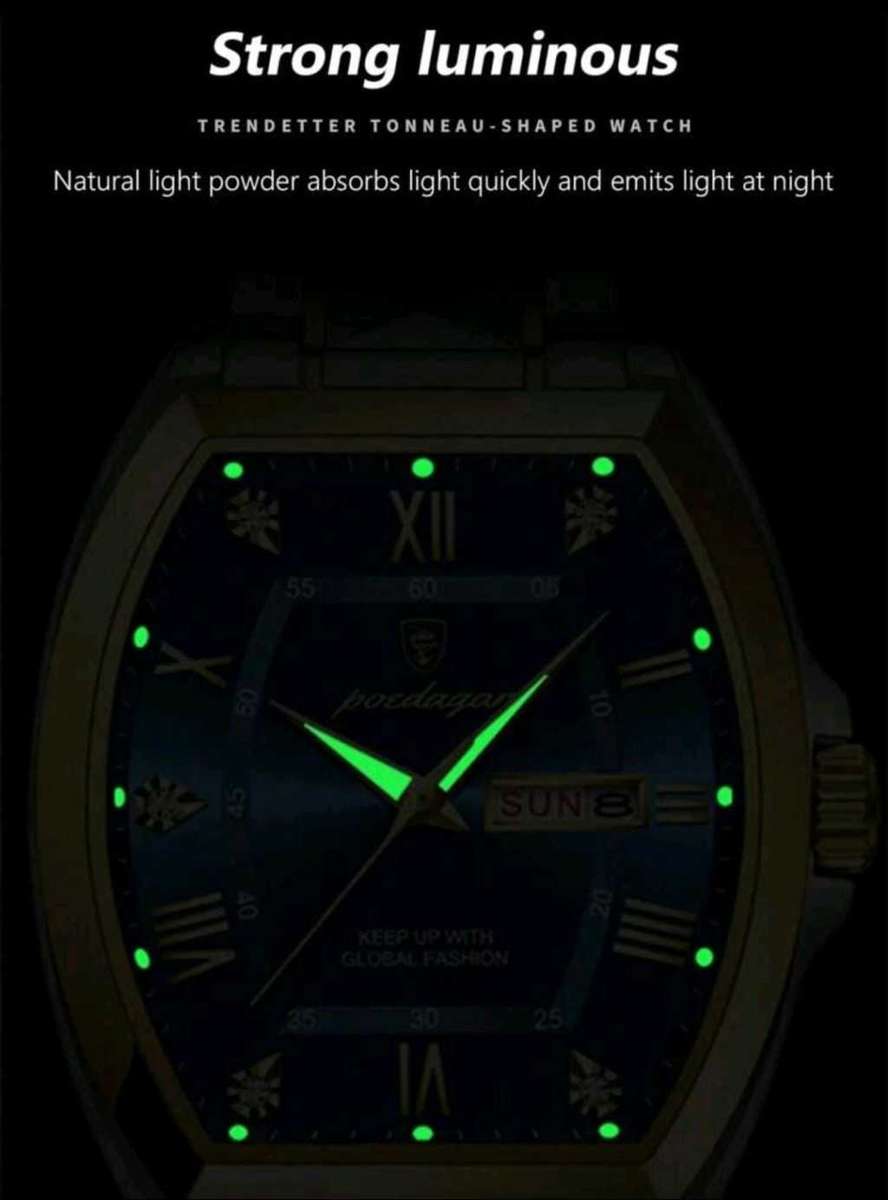Poedagar - Men Luxury German Quartz Watch