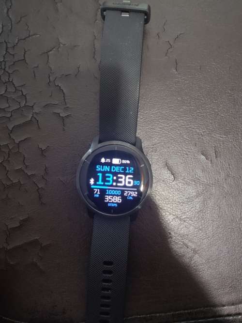 Garmin Venu 2