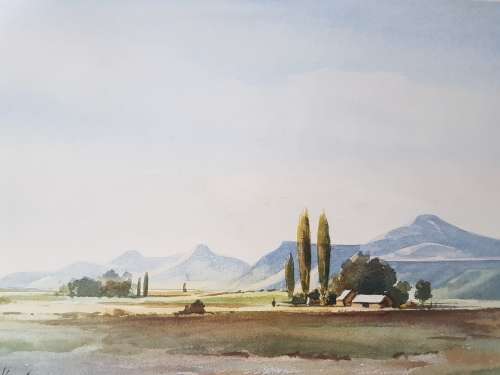 Enslin Vorster Print, Farm North Eastern Cape