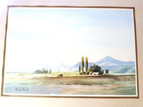 Enslin Vorster Print, Farm North Eastern Cape