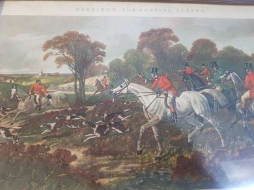 Herring`s Fox Hunting Scenes, Breaking Cover, Print