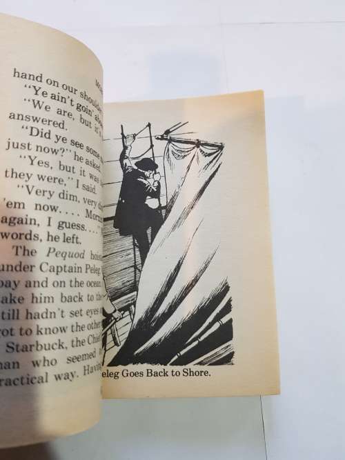 Moby Dick by Herman Melville, Illustrated Classic Editions
