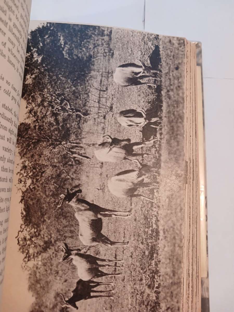 Sanctuary by C.S. Stokes, Hardcover 1946