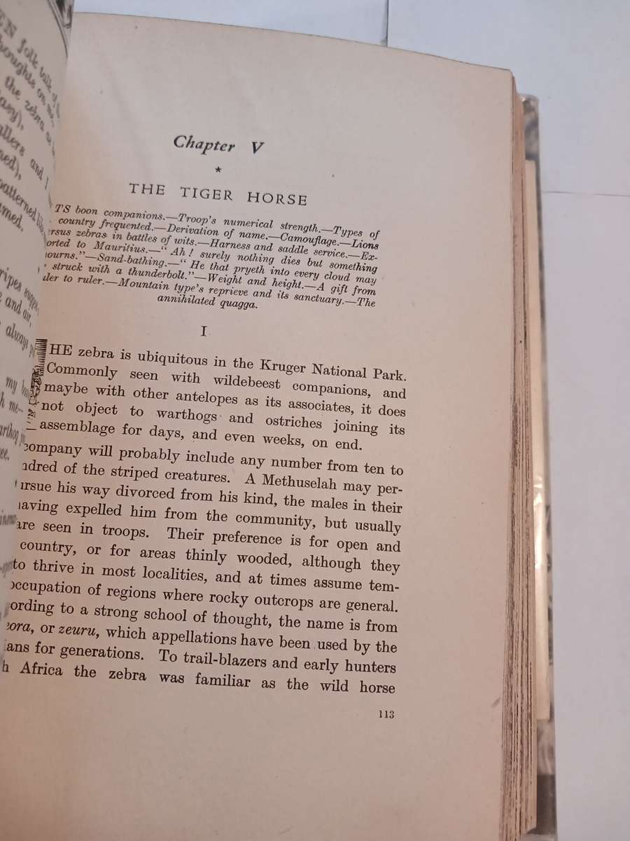 Sanctuary by C.S. Stokes, Hardcover 1946