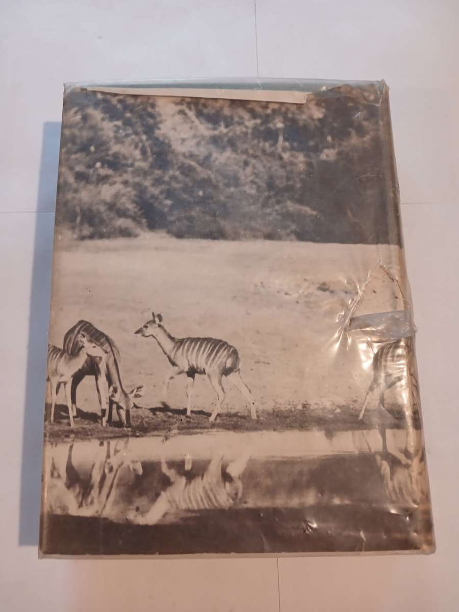 Sanctuary by C.S. Stokes, Hardcover 1946