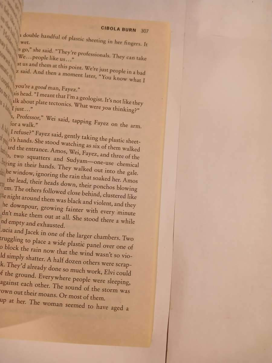 Cibola Burn, Book Four by James S.A. Corey