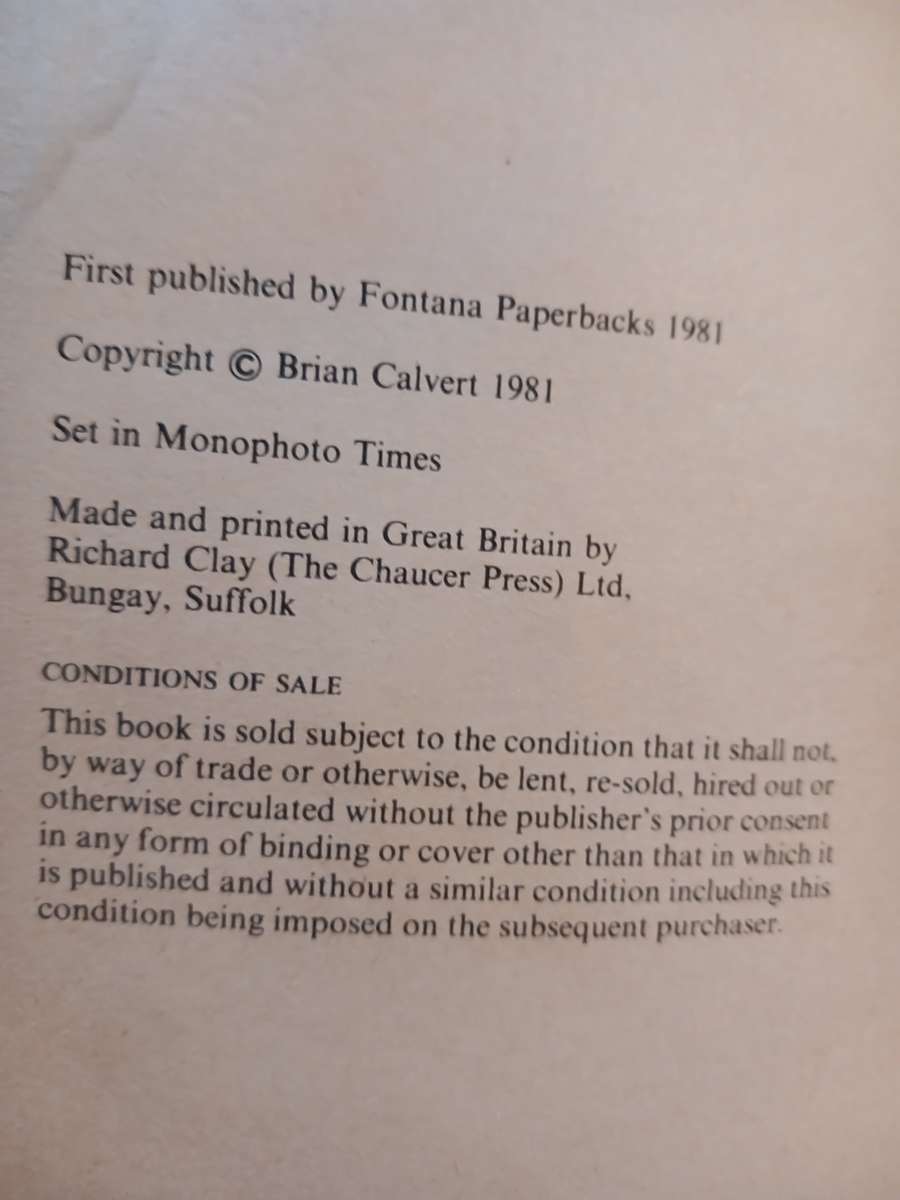 Flying Concorde by Brian Calvert