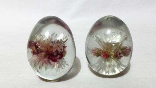 Pair of Egg Shaped, Flower Inside, Glass ornament/paperweight