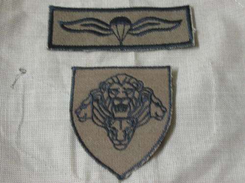 RECCE Para qualification badge ORIGINAL