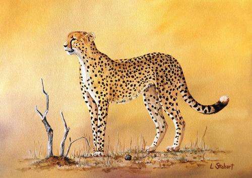 'Gearing up' by Laura Stobart