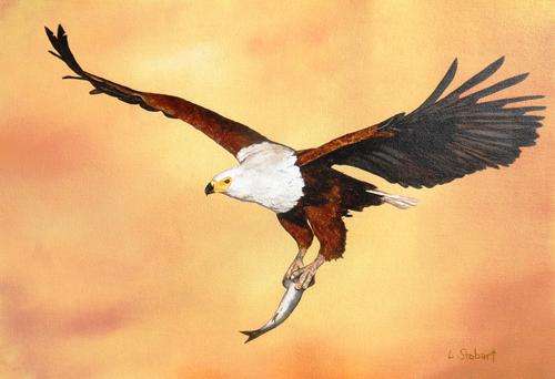 'Catch of the Day' by Laura Stobart