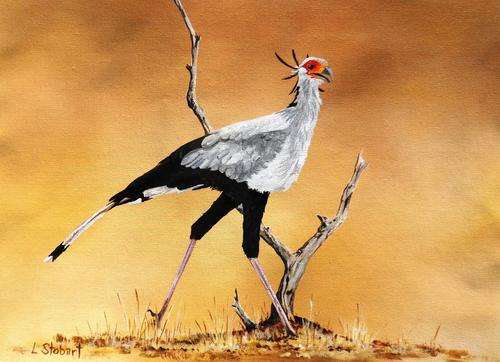 'Can't Stop Now' by Laura Stobart