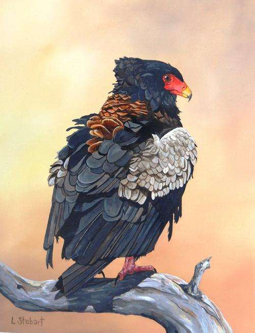 'Shaking Things Up' by Laura Stobart