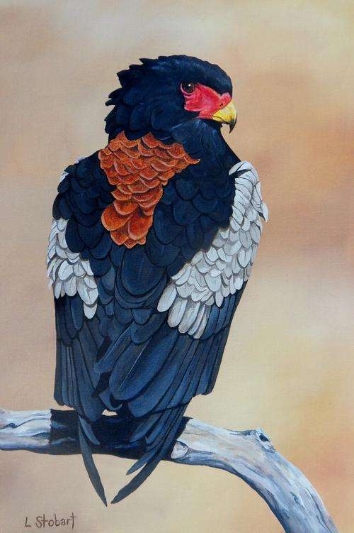 "Backward Glance' by Laura Stobart