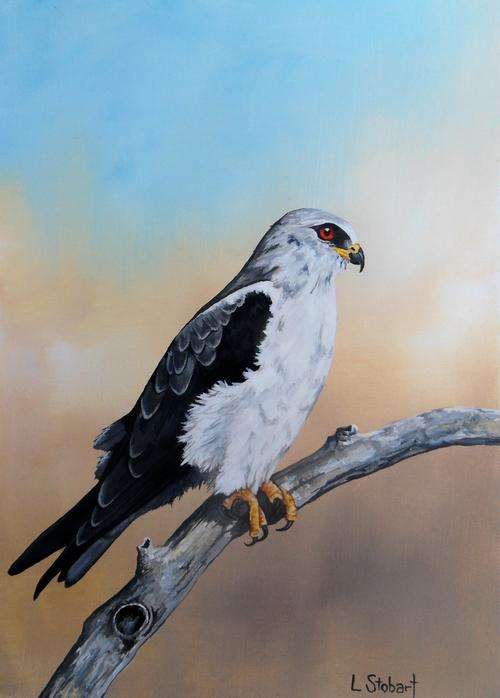 Cold Shoulder, by Laura Stobart