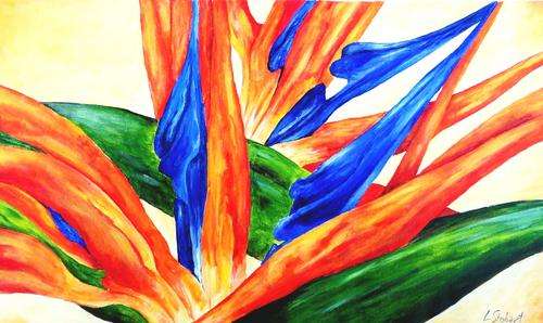 Strelitzias