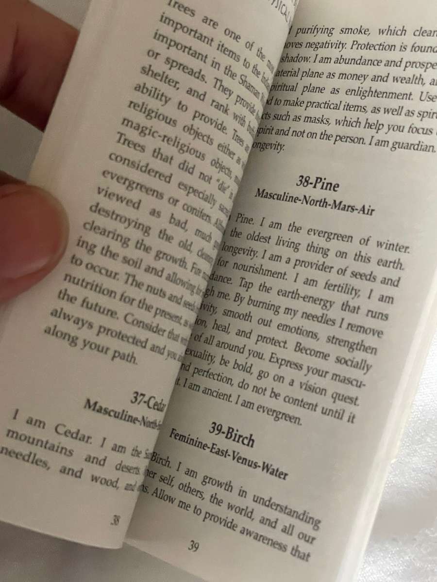 Shaman Wisdom Cards - Leita Richesson