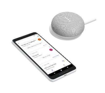 GOOGLE SMART TV KIT (HOME MINI & CHROMECAST) CHARCOAL