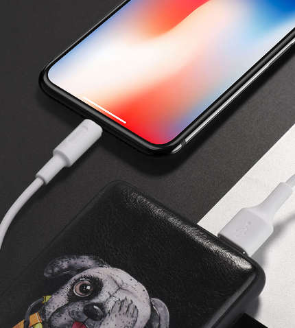 hoco. X25 Soarer Charging Data Cable compatible with iPhone