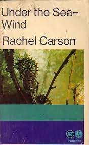 CARSON, Rachel - Under the Sea-Wind - (Paperback)