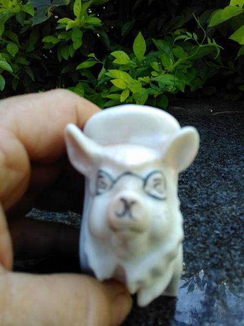 WEIRD PIG [or is it a dog] WITH OLD TRANSVAAL COAT OF ARMS - Ornament