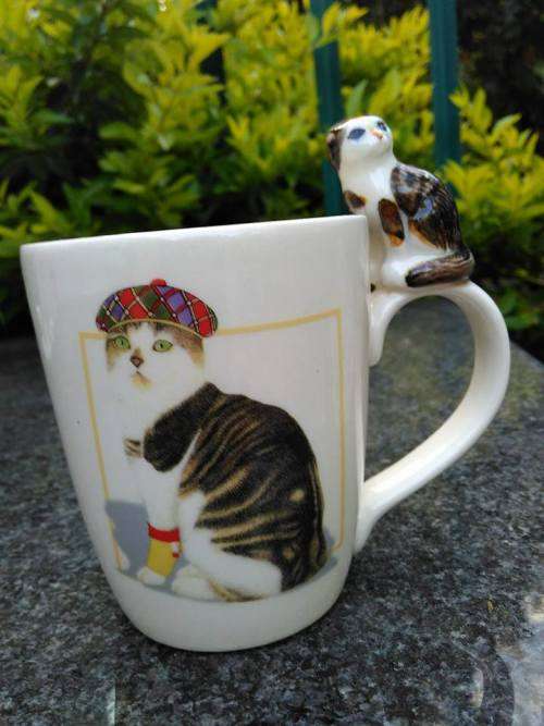 PRETTY UNUSUAL MUG FOR A CAT LOVER - Shows Scottish Fold Flat Eared Cat