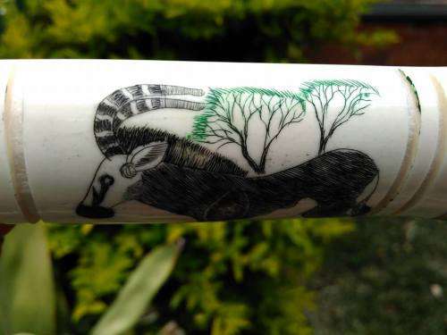 VINTAGE BRASS, BONE AND WOOD BOTTLE OPENER WITH SCRIMSHAW (?) ARTWORK