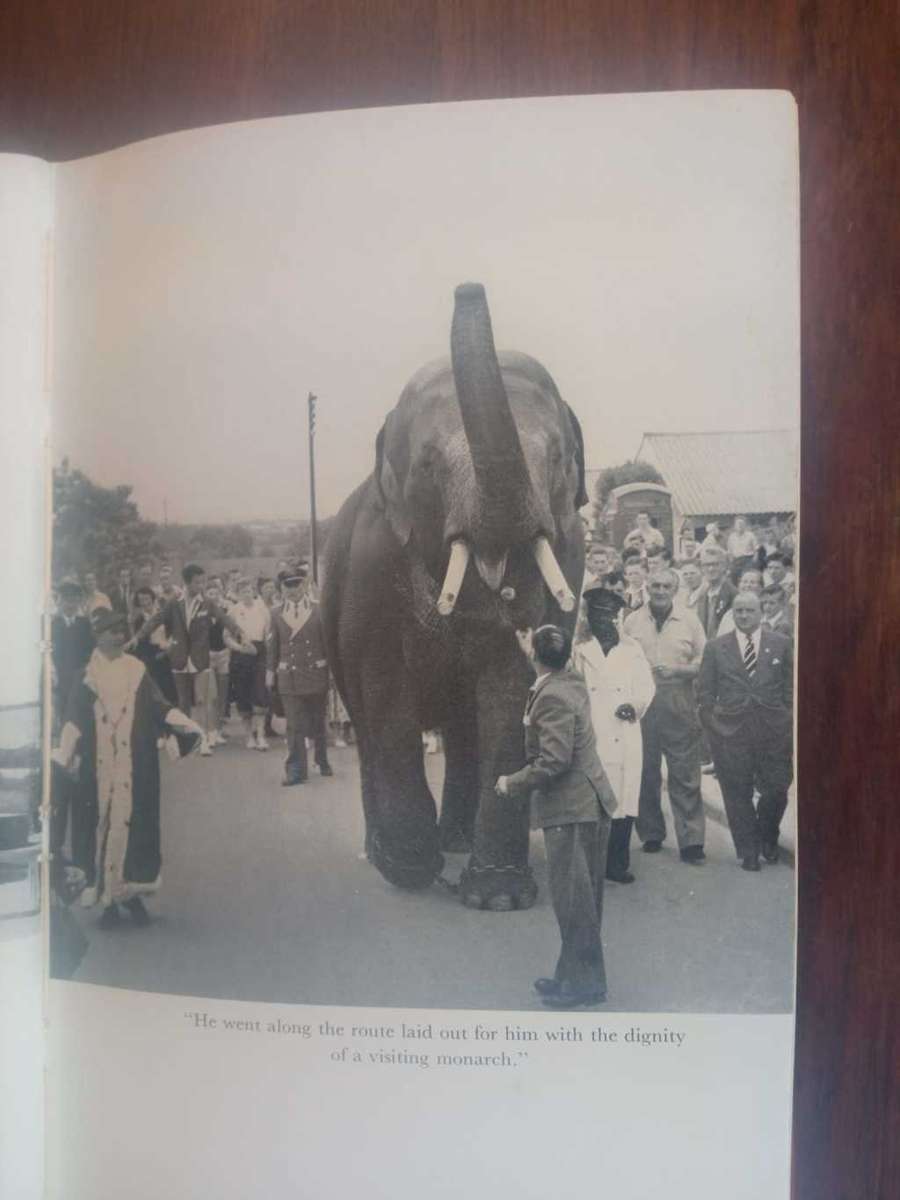 WILLIAMS, J.H. [Elephant Bill] - Big Charlie - (1959 1st Edition Hardcover)