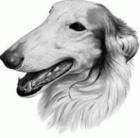 PISTORIUS, Carol - Karmenka (Hardcover in Wrapper)