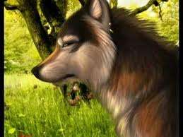 LONDON, Jack - White Fang & The Call of the Wild - (Hardcover in Wrapper)