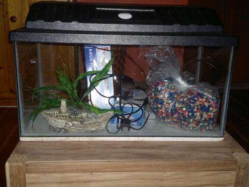 Fishtank with accessories