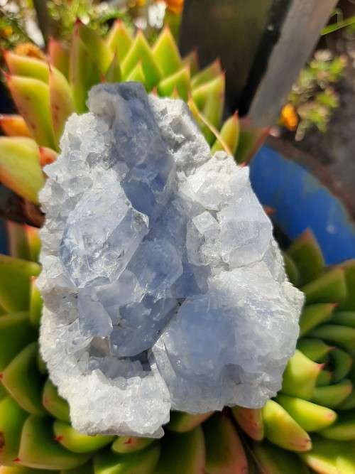 Celestite Cluster