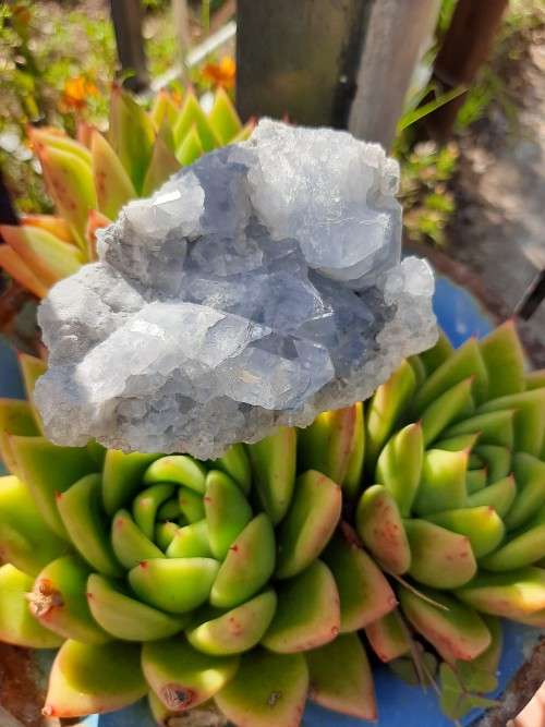 Celestite Cluster