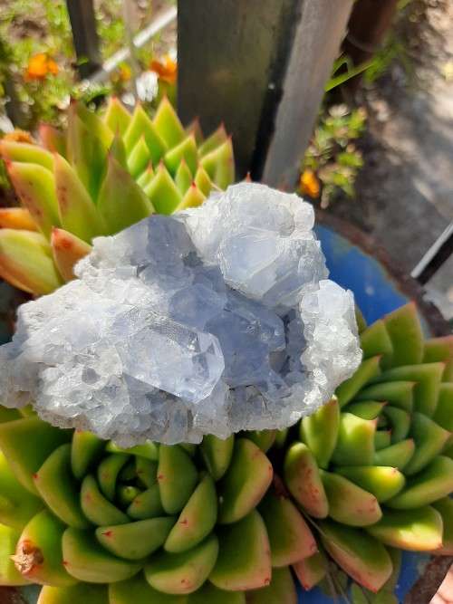 Celestite Cluster