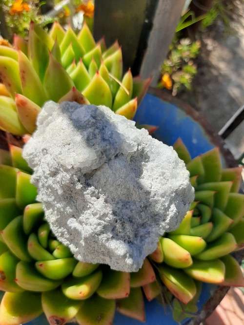 Celestite Cluster