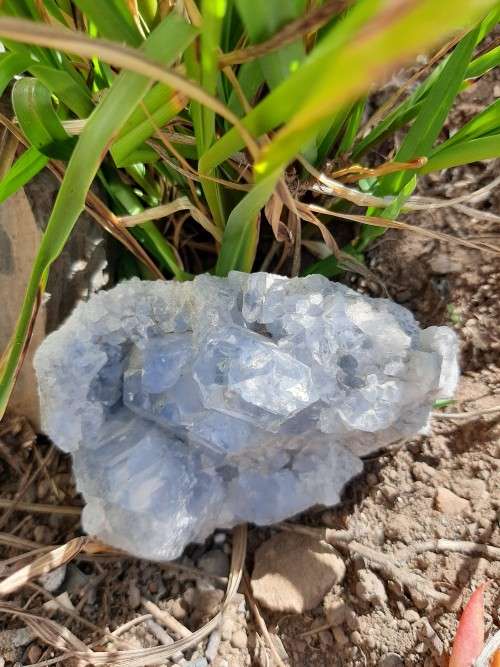 Celestite Cluster