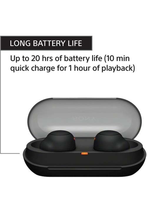 Sony WF-C500 Earbuds