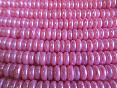 GlassPearls Discs - PINK - 100pc per packet
