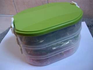 fantastic pink/green combination in a trio division bead carry case