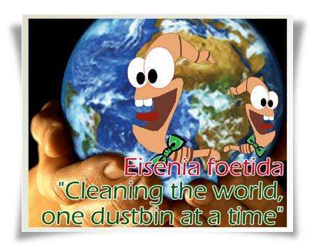 Earthworms (250g - 2000 earthworms) Red wigglers