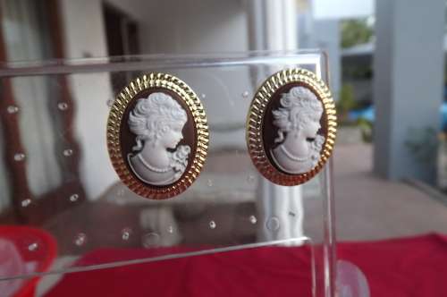 Pair of new oval imitation cameo earrings.New item