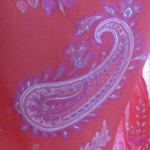 Wear anywhere 2 piece outfit in red sheer polyester with paisley and floral pattern.Size 40/16.