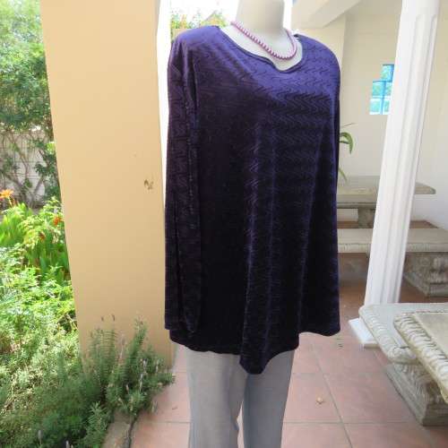 Dark purple loose hanging long sleeve polyester velvet top by DONNA CLAIRE size 48/24.