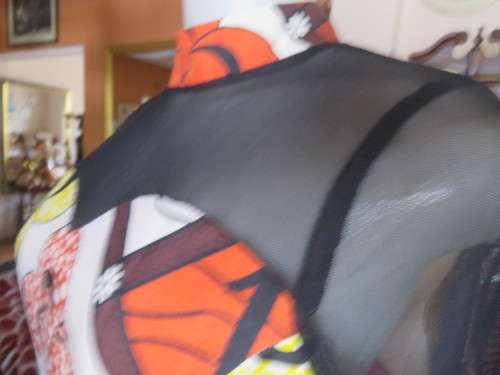 Ethnic look cream dress with bold autumn design.Black long sheer sleeves and yoke.Size 36 by ENVY.